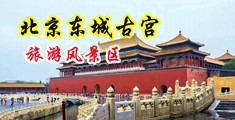 女人被操逼破处视频中国北京-东城古宫旅游风景区